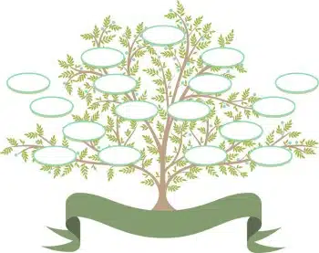 Family Tree