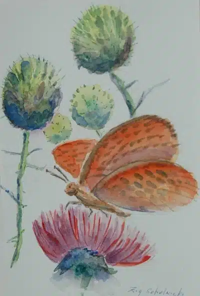 Zig Sokolnicki's Art